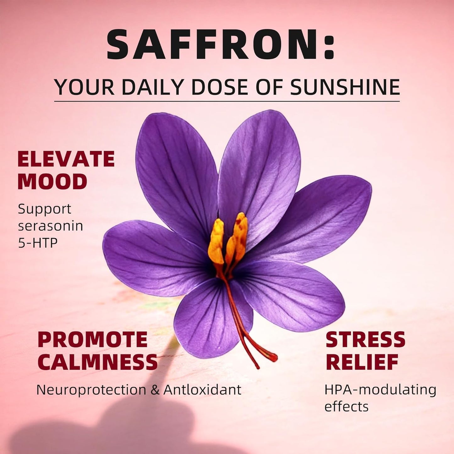 Saffron Extract Supplements Drop - 24-In-1 88.5Mg Saffron Extract with Ashwagandha,Black Cohosh & Lion'S Mane for Mood&Focus,Stress Relief,Cortisol Reducer,Menopause – Vegan 2FL OZ