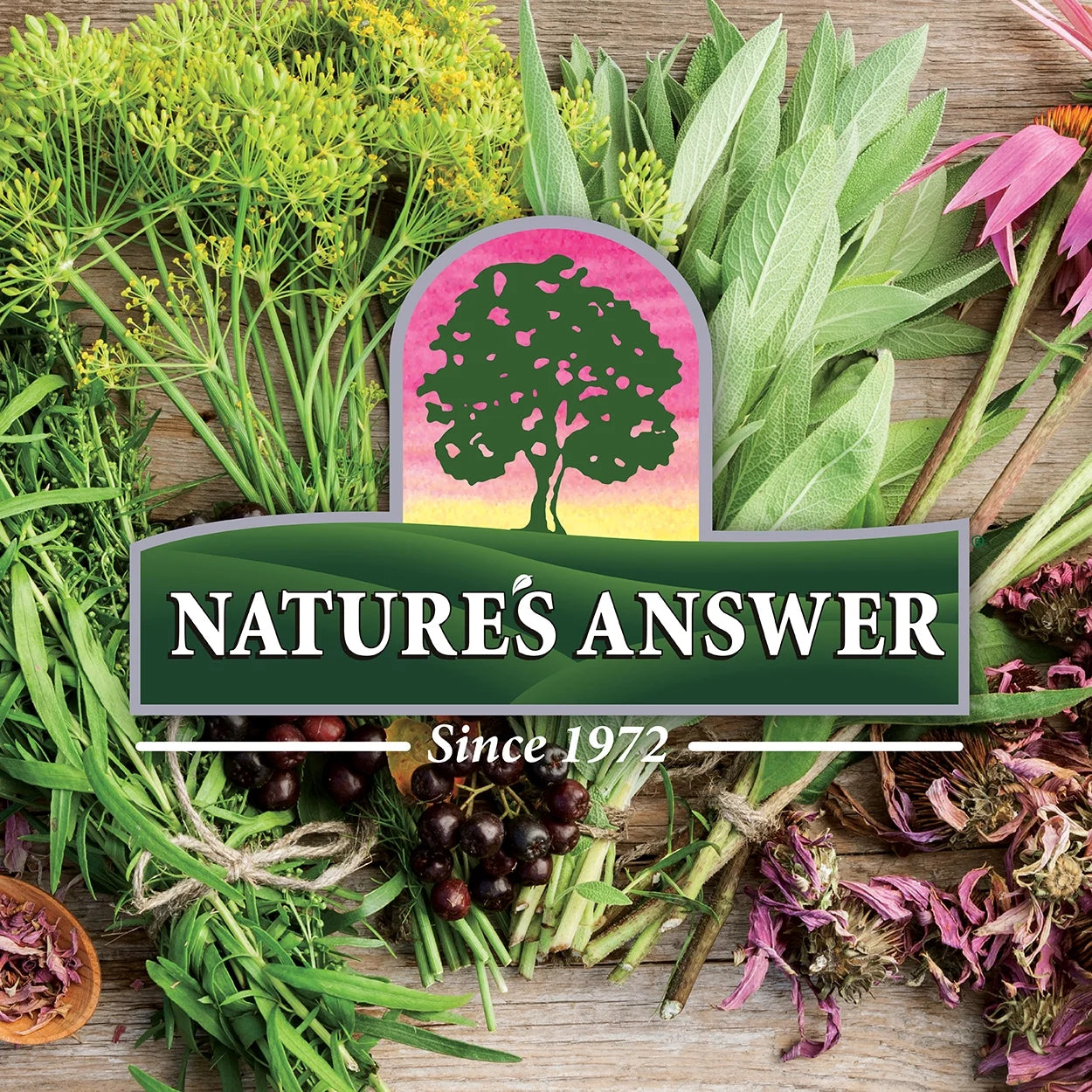 Nature’S Answer Black Walnut & Wormwood 2,000 Mg, Alcohol-Free Herbal Supplement, 1 Fl Oz